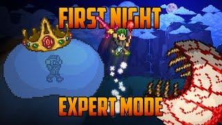 Terraria - Expert King Slime & Eye of Cthulhu on the First Night Speedrun Challenge