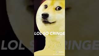 Doge boi is super cringy  I’m not doge boi this is roblox masters vid I wanted to uploadit