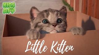 Little Kitten - My Favorite Cat Fox and Sheep GmbH - Best App For Kids