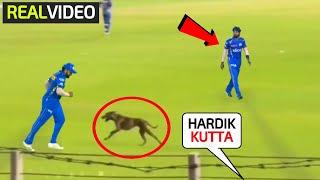 Rohit Sharma got hilarious when the crowd shouting Hardik K*TTA after the dog entered in MI vs GT