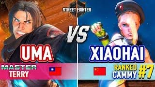 SF6  UMA Terry vs XIAOHAI #7 Ranked Cammy & MAGO Terry  Street Fighter 6 High Level Gameplay