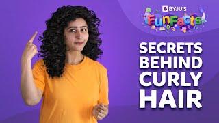 Why Do Some People Have Curly Hair?  BYJUS Fun Facts