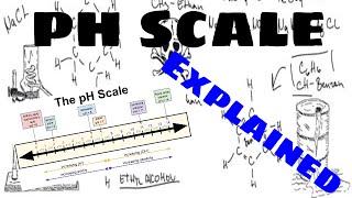 The pH Scale Explained