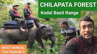 CHILAPATA FOREST Kodal Basti Range Jeep Safari Jaldapara National Park West Bengal Tour Episode 5