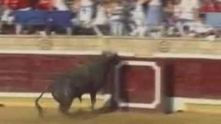 Bull Jumps Into Crowd Of Spectators Injuring 30 People