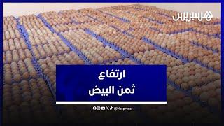 ارتفاع ثمن البيض من جديد.. مهنيون يوضحون الأسباب ويتوقعون استمرار الغلاء