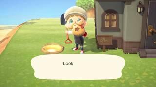 What to do at a shiny golden hole in Animal Crossing New Horizons