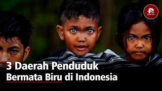 Ternyata Bukan Hanya Aceh Ini Penghasil Mata Biru di Indonesia