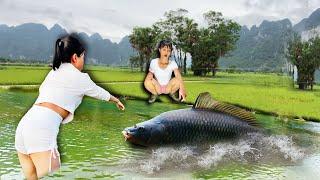 girl guide planet fishing trap fish catch the hottest fish best