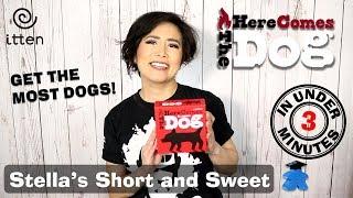 Here Comes the Dog Board Game - Stellas Short and Sweet