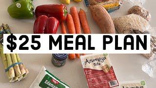 $25 Meal Plan  Eating Healthy on a Low Grocery Budget  Easy Meals High Protein + Tons of Veggies