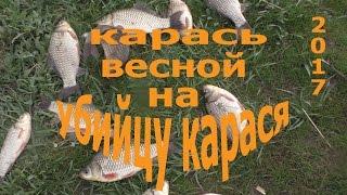 карась весной на снасть УБИЙЦА КАРАСЯ