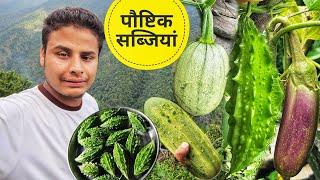 पहाड़ों में मानसून की सारी पौष्टिक सब्जियां  Uttarakhandi village all organic vegetables RTK Vlogs