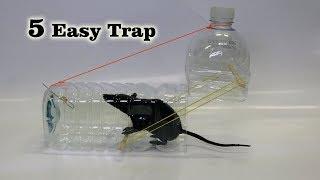 5 Easy MouseRat Trap