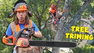 Tree Trimming  Chain Saw Bucket Truck and Wood Chipper  Handyman Hal Tree Service