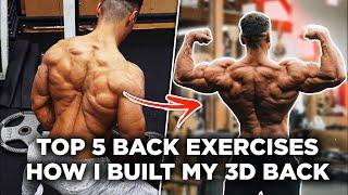 HOW I BUILT MY 3D BACK - 5 Best Back Exercises