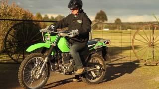 Kawasaki Stockman 250