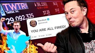Woke Twitter Employees BEG Elon Musk Not to FIRE Them