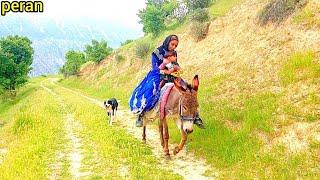 Zahra rides a donkey to bring water