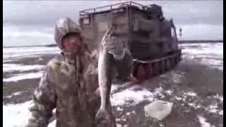 Певек.Рыбалка на спинингмидл-лайт класс Голец. Chukotka.Russia.Fishing