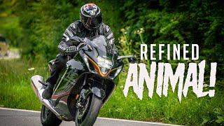 The Suzuki Hayabusa  A refined ANIMAL