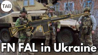 Right Arm of the Free World FN FALs in Ukraine