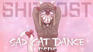 Sad Cat Dance meme CountryHumans shitpost