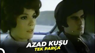 Azad Kuşu  Tarık Akan - Hülya Koçyiğit Eski Türk Filmi Full İzle
