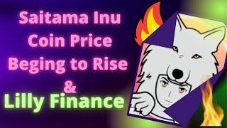 Saitama Inu Coin Price Being to Rising and Lilly Finance