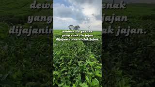 #quoteshariini #quoteskehidupan #katamotivasi #quotesindonesia #quoteskeren