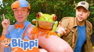 Blippis Adventure with Brave Wilderness  BEST OF BLIPPI TOYS  Educational Videos for Kids