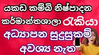 #New jobs 2024  government   රැකියා ඇබැර්තු  sri lanka new jobs  නිෂ්පාදන අංශ රැකියා 2024