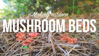 Outdoor Mushroom Beds  The Easiest Way to Grow Edible Mushrooms in Your Garden or Back Yard