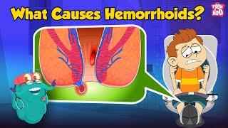 What are Piles?  What Causes Hemorrhoids?  Hemorrhoids Symptoms and Prevention  Dr. Binocs Show