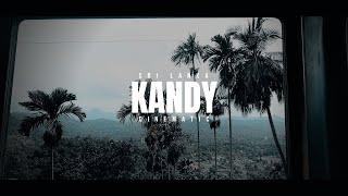 Kandy Cinematic Travel Vlog - Sri Lanka