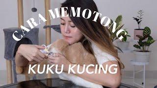 TUTORIAL CARA MEMOTONG KUKU KUCING