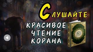 УСПОКАИВАЕТ ДУШУ. СЛУШАЙТЕ ПЕРЕД СНОМ