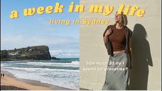 A week in my life living in Sydney Australia  How much $$ I spend on groceries