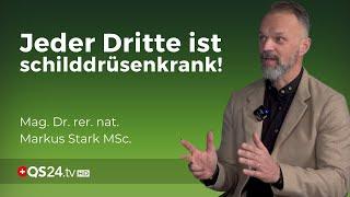 Ist Jodmangel die Hauptursache von Schilddrüsenerkrankungen?  Dr. rer. nat. Markus Stark  QS24