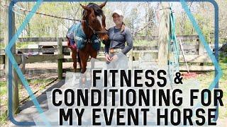 FITNESS & CONDITIONING FOR MY HORSE My Training Schedule & Thoughts on Proper Fitness for Eventing