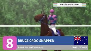 Virtual Horse Racing