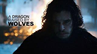 Jon Snow  A Dragon Raised By Wolves GoT