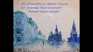 К. Г. Паустовский. Цветок в вагоне по рассказу Зона тишины. Читает Елена Леонова.