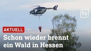 Waldbrand bei Kassel Hubschrauber im Einsatz  hessenschau