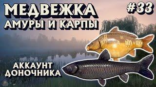 Аккаунт доночника #33  Амур черный + Карпы  оз. Медвежье  Русская Рыбалка 4