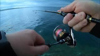 Adriatic Sea fishing in Spring on Duo and Major Craft lures