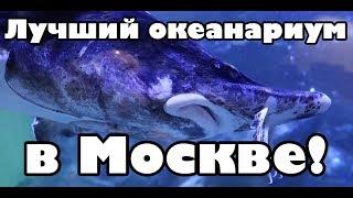 Океанариум Крокус сити Лучший океанариум в Москве