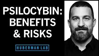 How Psilocybin Can Rewire Our Brain Its Therapeutic Benefits & Its Risks  Huberman Lab Podcast