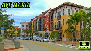 Discovering Ave Maria - Florida Charming Town