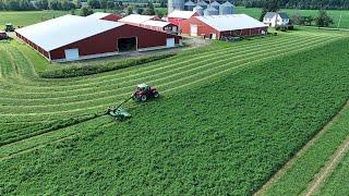 Making Gorgeous Alfalfa with my Dad Step by Step Guide